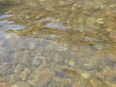-青城两河漂流