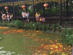 -武汉紫薇都市田园