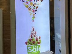 -Salud撒露欧洲冻酸奶(蓝色港湾店)