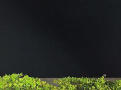 -渔家火锅·海鲜自助餐·演艺(亚龙湾天域酒店)