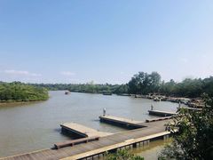 -东寨港红树林旅游区