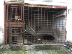 -湖鲜楼