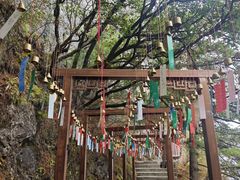 -秦岭天竺山生态文化旅游景区