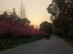 -上海海湾国家森林公园