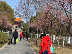 -沙市市中山公园