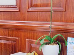 -子霖南山鲜虾面(南山总店)