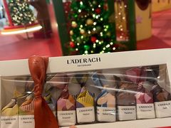 -Laderach 莱德拉(上海环贸iapm店)