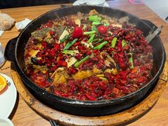 -老板恋上鱼(恒隆广场店)