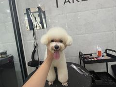 -萌小它宠物健康管理中心(怡海家园店)
