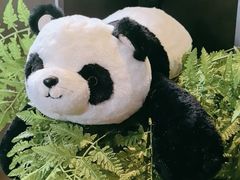 -了凡国风主题茶馆·咖啡(武侯祠锦里店)