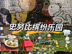 -史努比缤纷世界