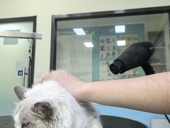 -天宠宠物医院24小时·急重症诊疗中心·全科·腔镜特色(和平分院)