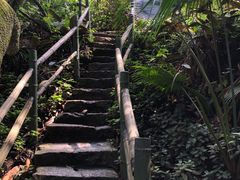 -青青世界