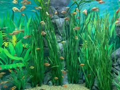 -上海海洋水族馆