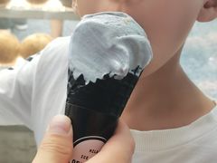 原味椰子灰冰淇淋-蔻蔻椰·鲜萃椰子水(COCO Park店)