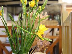-Cafe Alice咖啡爱丽丝(奥城店)