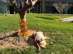 -陆家嘴世纪金融广场