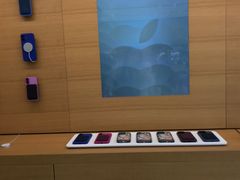 -Apple零售店(玄武湖店)