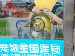 -瑞派·关忠动物医院·异宠专科·犬猫肿瘤·皮肤专科(望京店)