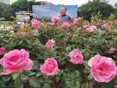 -荔枝公园-小平画像广场