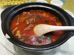 牛腩粉丝-金锅小厨(乐活街店)