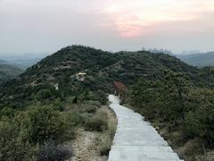 -五龙城郊森林公园
