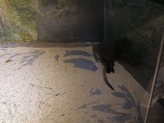 -常州海昌海洋探索馆