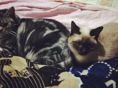 -镇江龙·火锅串串(武侯祠店)