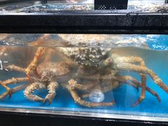 -盒马鲜生(曜一城店)