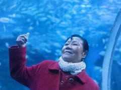-海合安成都极地海洋公园