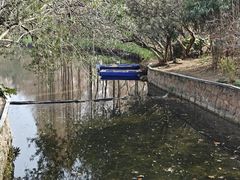 -和平公园