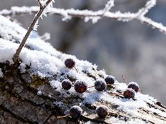 -陕西省红河谷森林公园