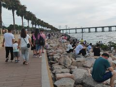 -宝安西湾红树林湿地公园