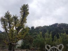 -韶关经律论国际酒店温泉