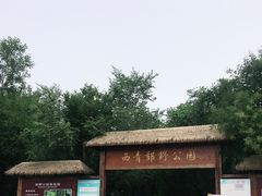 -西青郊野公园