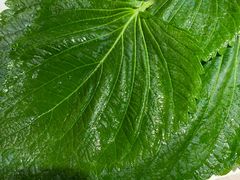 -炭之家烤肉(世茂店)