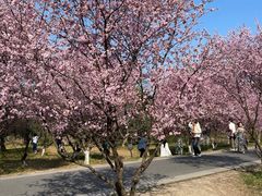 -西溪国家湿地公园