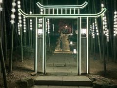 -杭州黄龙洞