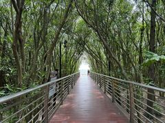 -上海吴淞炮台湾国家湿地公园