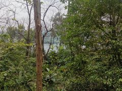 -三门江国家森林公园