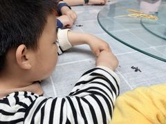 -源香农宝·亲子采摘·钓虾·科普研学