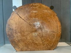 -墨尔本博物馆(Melbourne Museum)