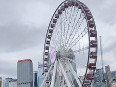 -Big Bus Tours 敞篷观光巴士