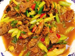 小炒牛肉-菜当家