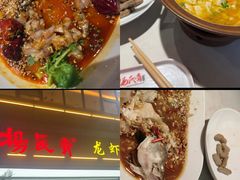 -杨氏青龙虾·羊蝎子(金盛路总店)