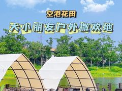 -空港花田景区