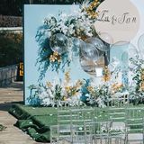 《治愈的小清新婚礼》