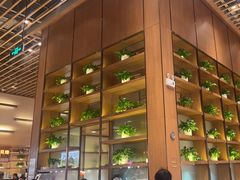 -西贝(华发商都店)