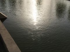 -山东加华制药有限公司