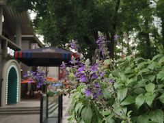 -1912街区